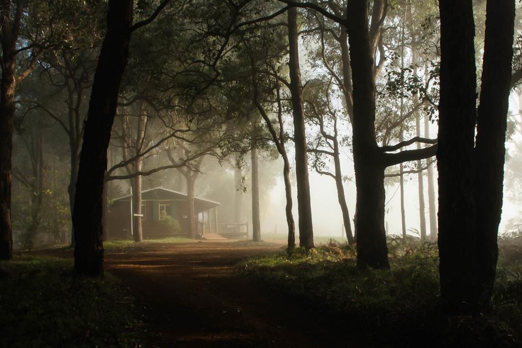 Balingup Heights Hilltop Forest Cottages Exteriör bild