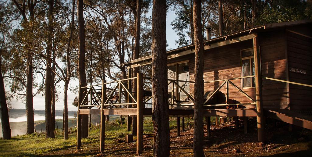 Balingup Heights Hilltop Forest Cottages Rum bild