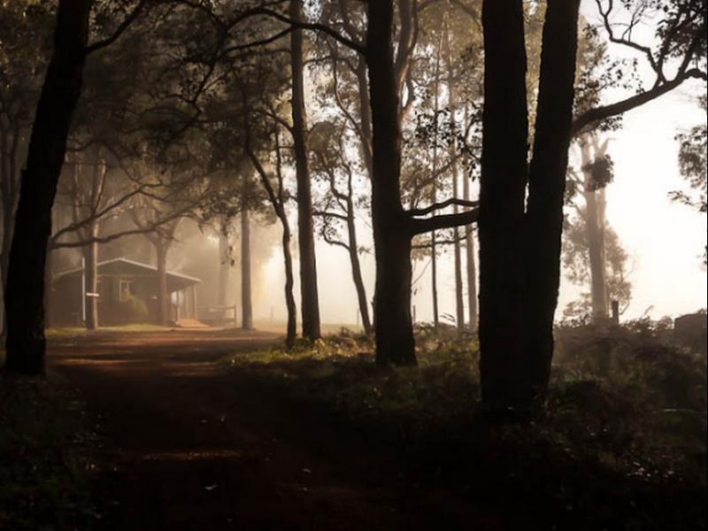 Balingup Heights Hilltop Forest Cottages Exteriör bild