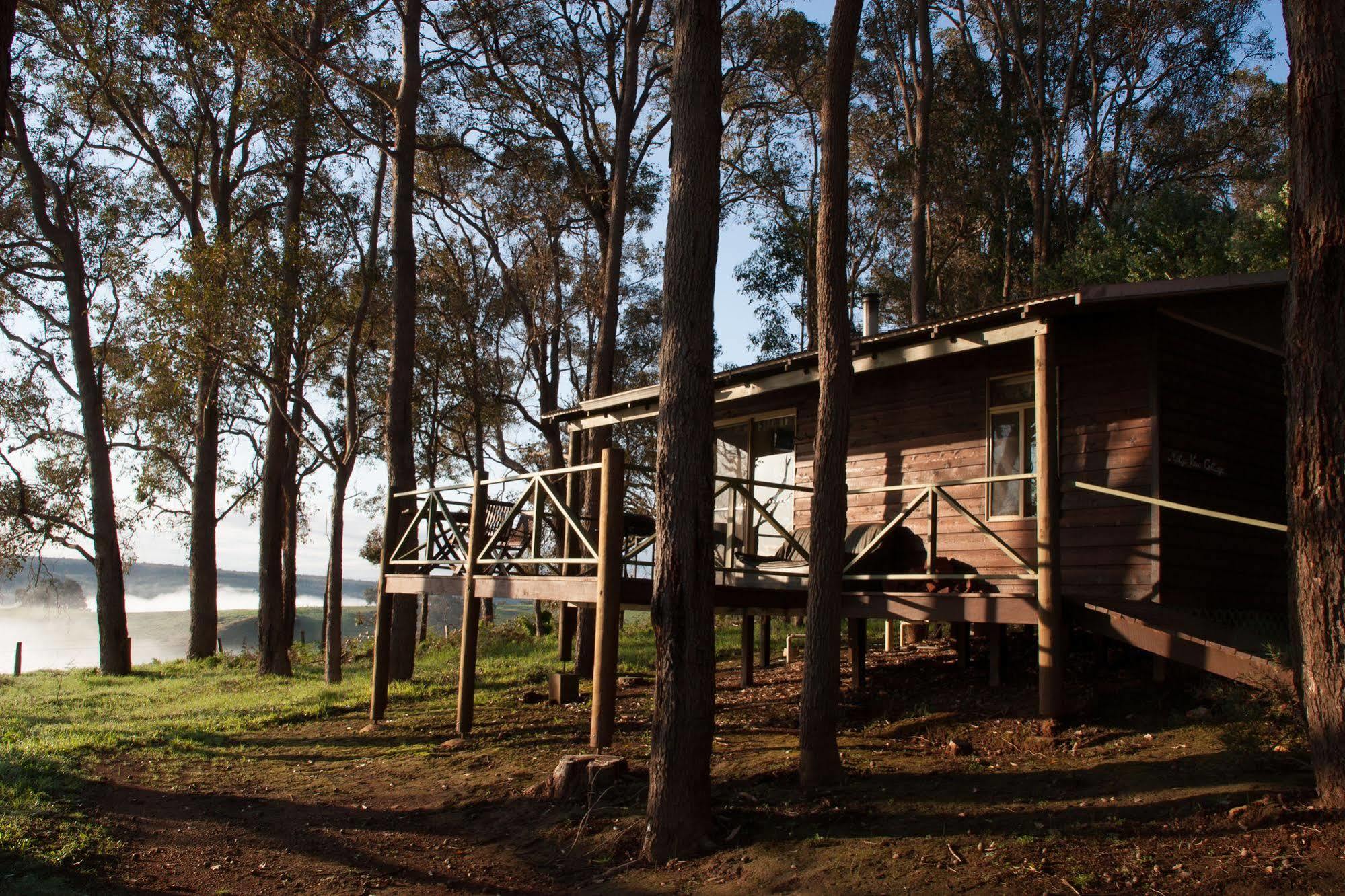 Balingup Heights Hilltop Forest Cottages Exteriör bild